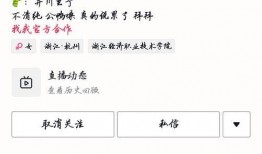 直播吃瓜网红叫什么,揭秘网红“瓜王”的瓜田传奇